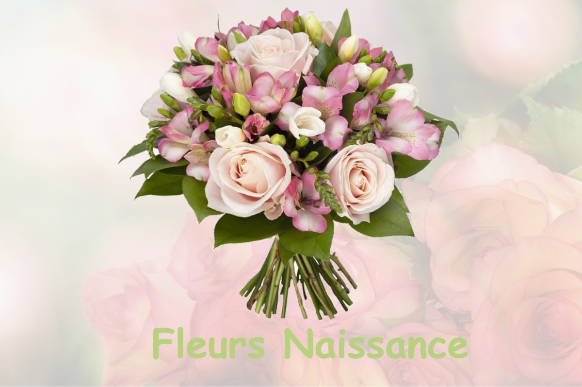 fleurs naissance SAINT-LEONARD-DE-NOBLAT